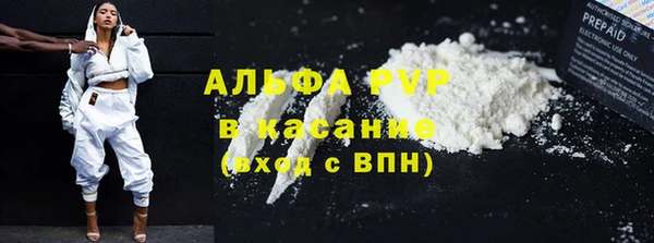 ешки Гусев