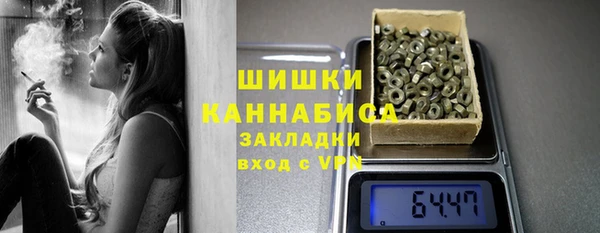 ешки Гусев