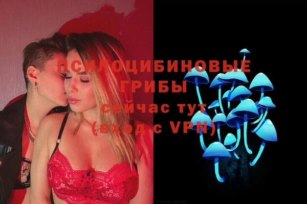 ешки Гусиноозёрск