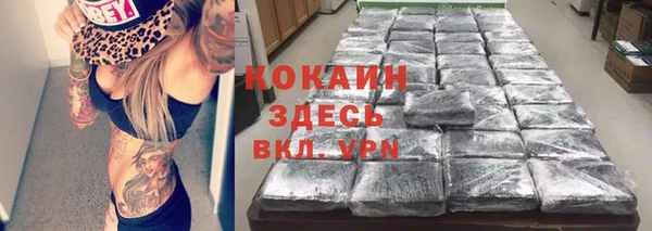 ешки Гусев