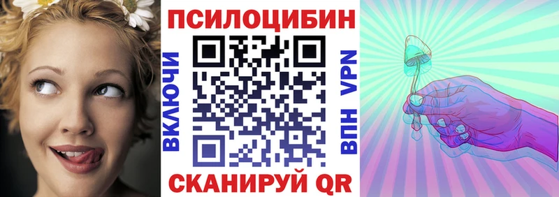 Купить где  Холмск  Галлюциногенные грибы Psilocybine cubensis 